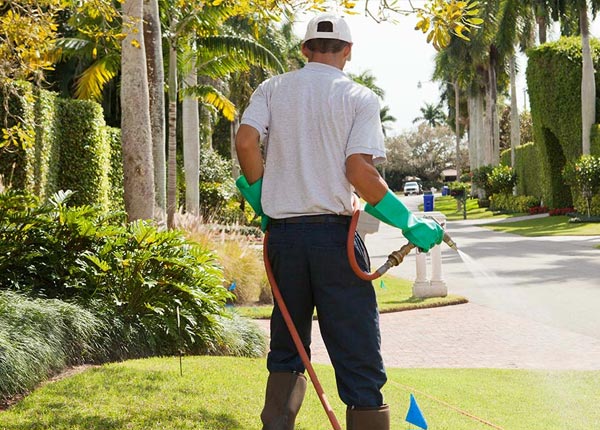 About Roscoe MN Pest Control Pros